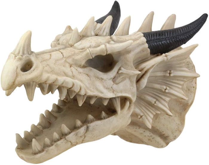 Ebros 13"D Medieval Fantasy Necromancer Roaring Dragon Skull Wall Decor Plaque