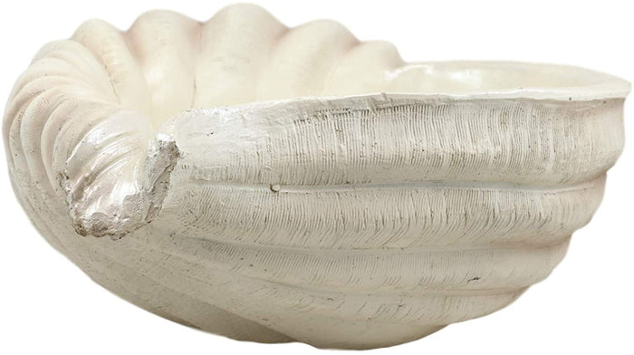 Ebros 16" Long Nautical Ocean Giant Sea Tun Shell Display Container Dish Bowl