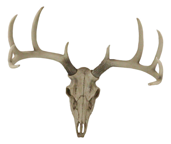 Ebros 18."L 10 Point Buck Head Wall Mount Resin Stag Deer Skull Antler Sculpture