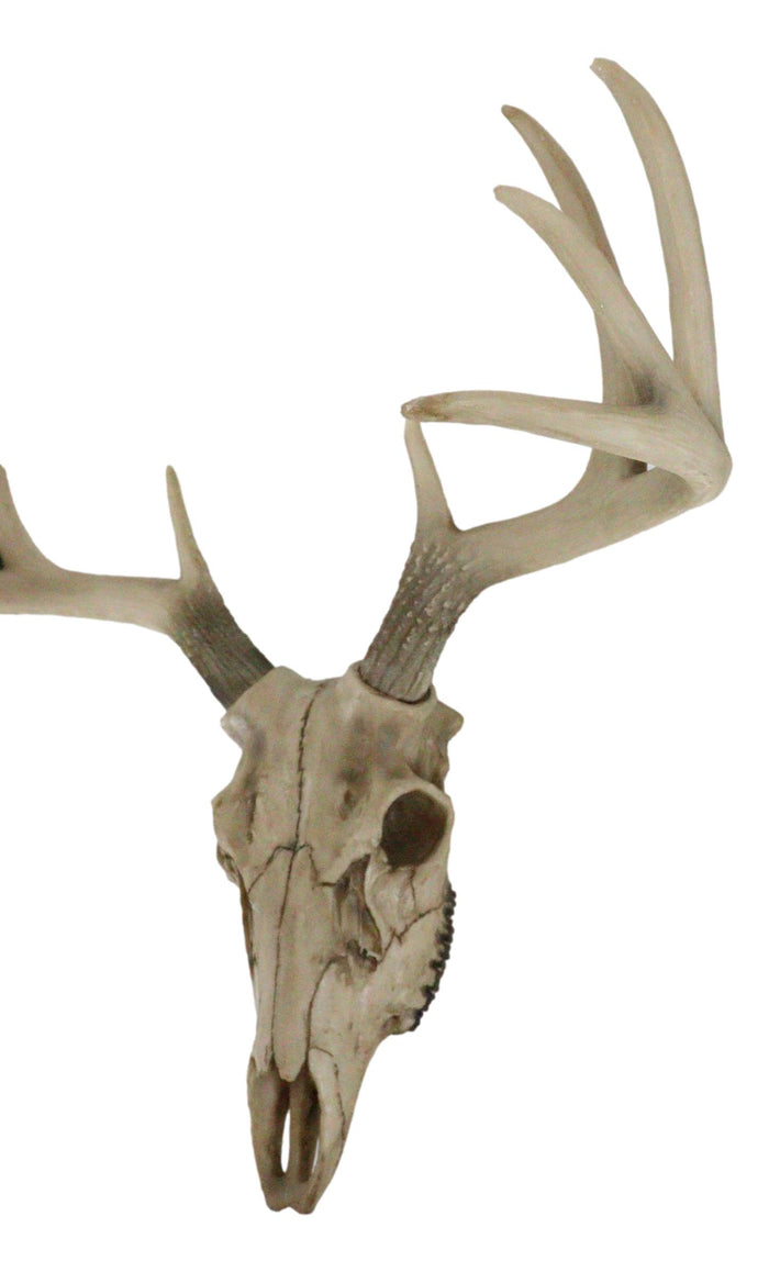 Ebros 18."L 10 Point Buck Head Wall Mount Resin Stag Deer Skull Antler Sculpture