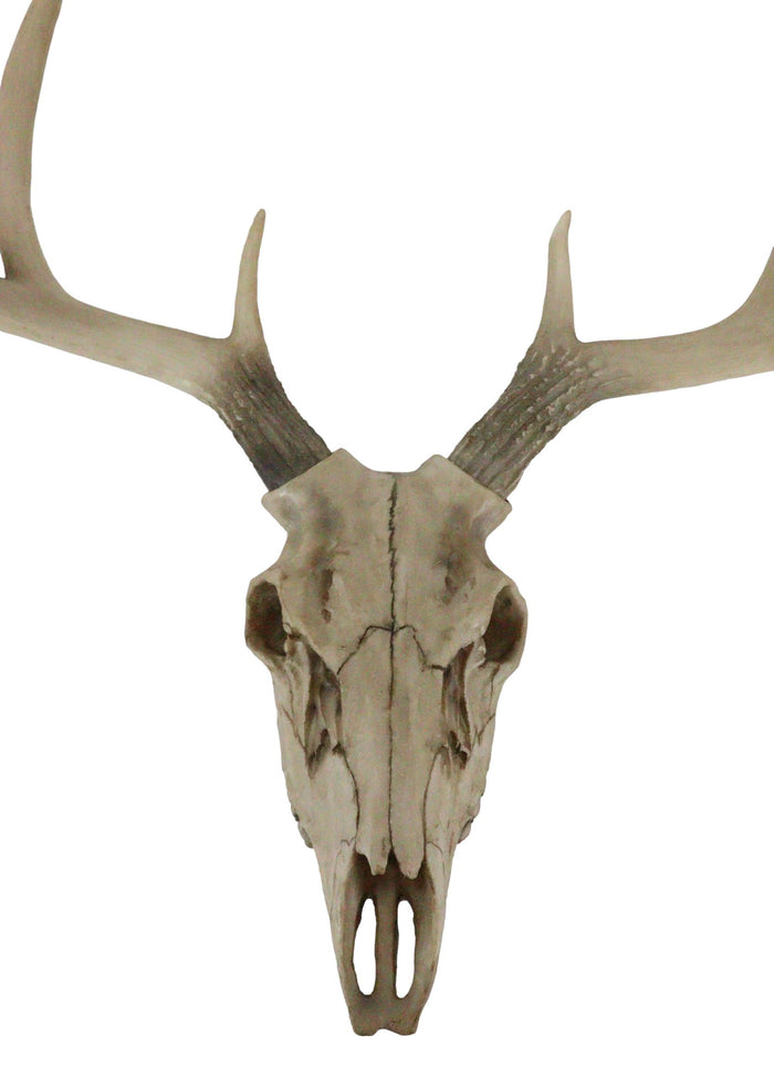 Ebros 18."L 10 Point Buck Head Wall Mount Resin Stag Deer Skull Antler Sculpture