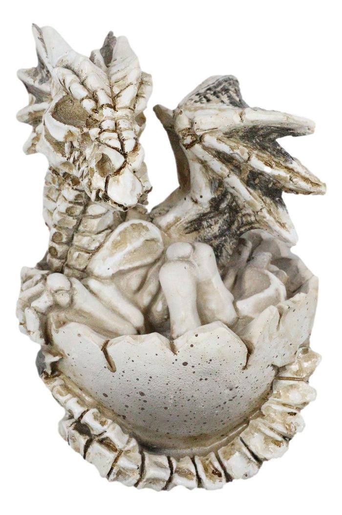 Ebros 4.5" Long Skeleton Bone Wyrmling Dragon Hatchling From Egg Statue Figurine