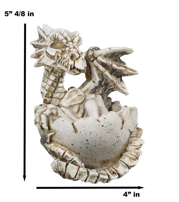 Ebros 4.5" Long Skeleton Bone Wyrmling Dragon Hatchling From Egg Statue Figurine