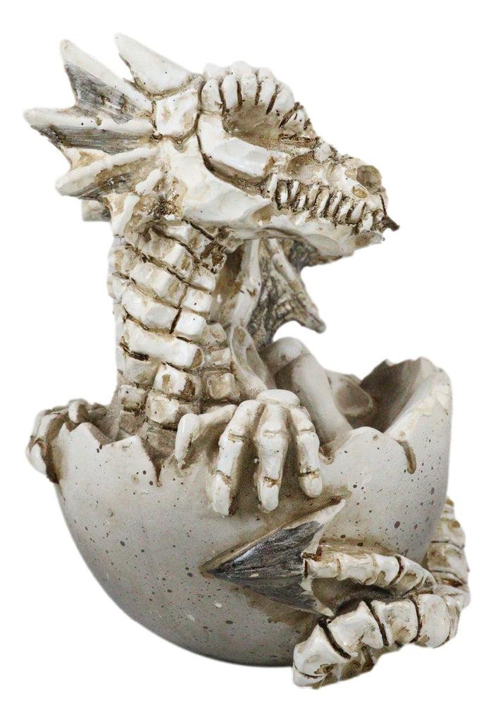 Ebros 4.5" Long Skeleton Bone Wyrmling Dragon Hatchling From Egg Statue Figurine