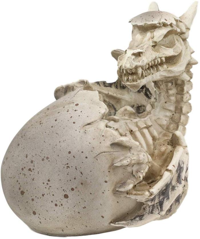 Ebros 5.5" Tall Skeleton Bone Wyrmling Dragon Hatchling From Egg Statue Figurine