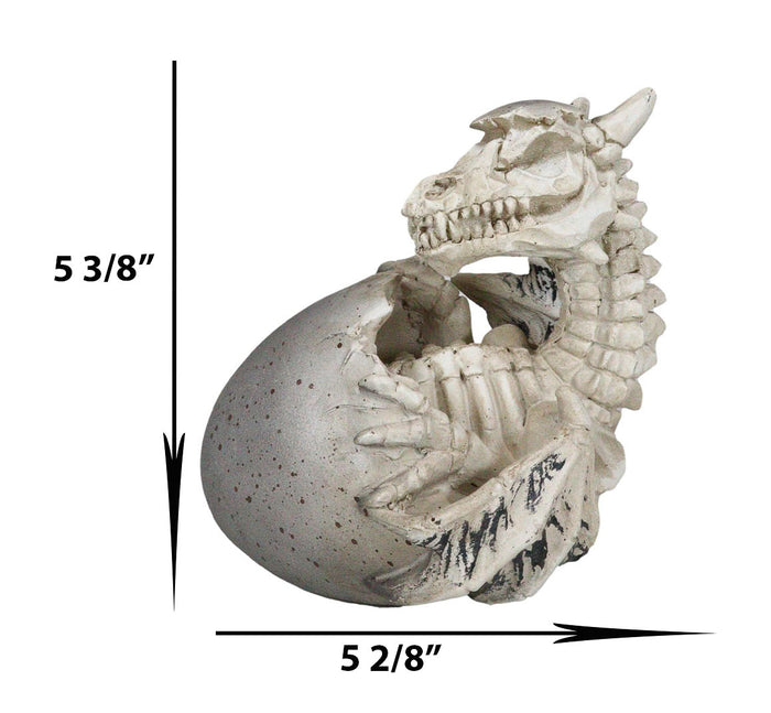 Ebros 5.5" Tall Skeleton Bone Wyrmling Dragon Hatchling From Egg Statue Figurine
