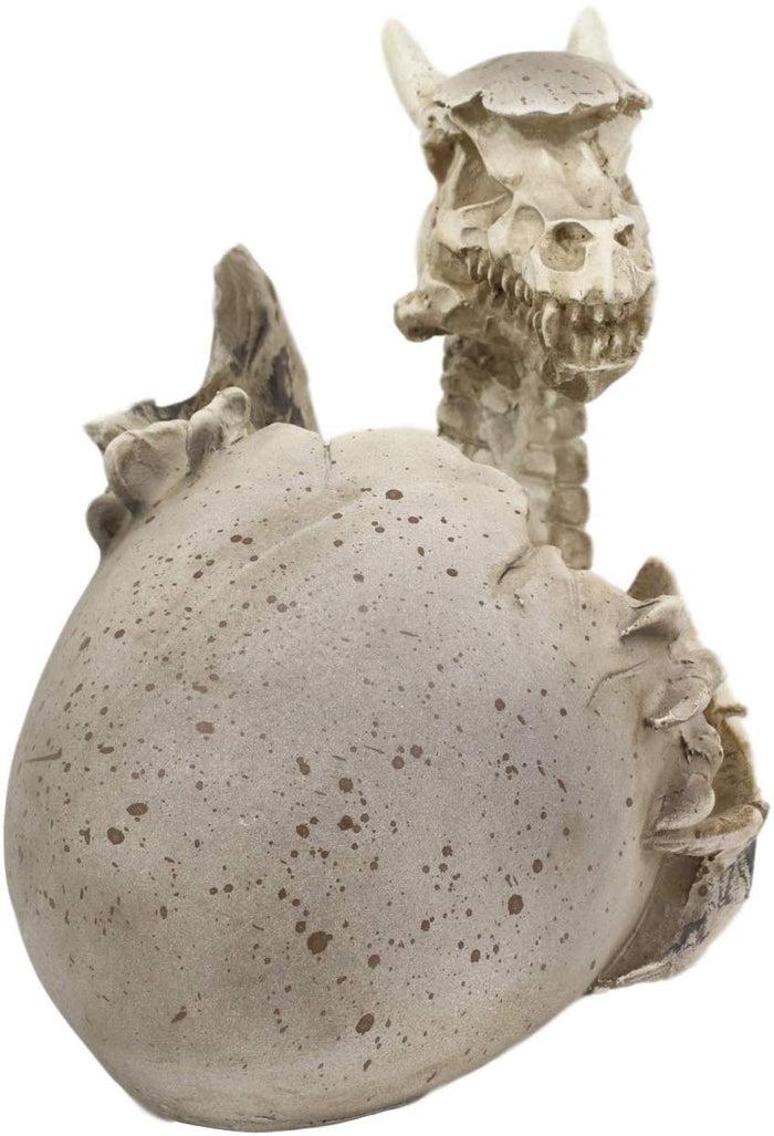 Ebros 5.5" Tall Skeleton Bone Wyrmling Dragon Hatchling From Egg Statue Figurine