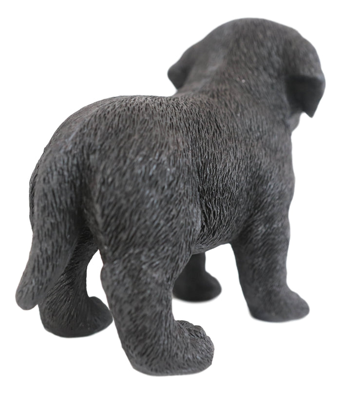 Ebros 6.25"L Realistic Chocolate Labrador Puppy Resin Figurine