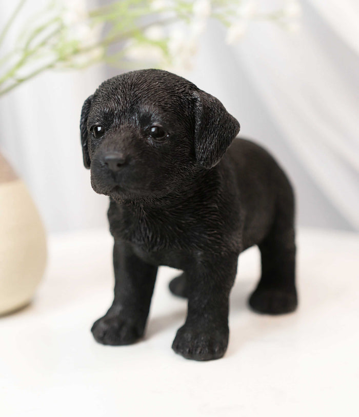 Ebros 6.25"L Realistic Chocolate Labrador Puppy Resin Figurine Ebros 6.25"L Realistic Chocolate Labrador Puppy Resin Figurine