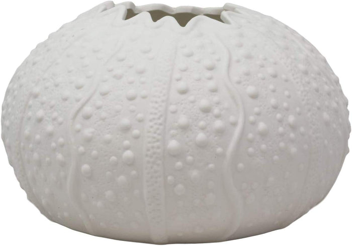 Ebros 7.5" Diameter White Sea Urchin Shell Ceramic Sculpture Pot Figurine (1)