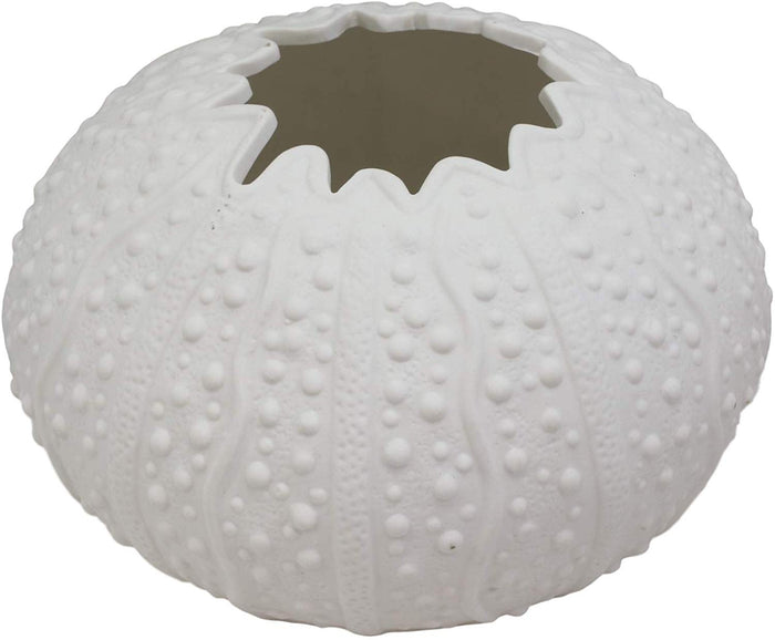 Ebros 7.5" Diameter White Sea Urchin Shell Ceramic Sculpture Pot Figurine (1)