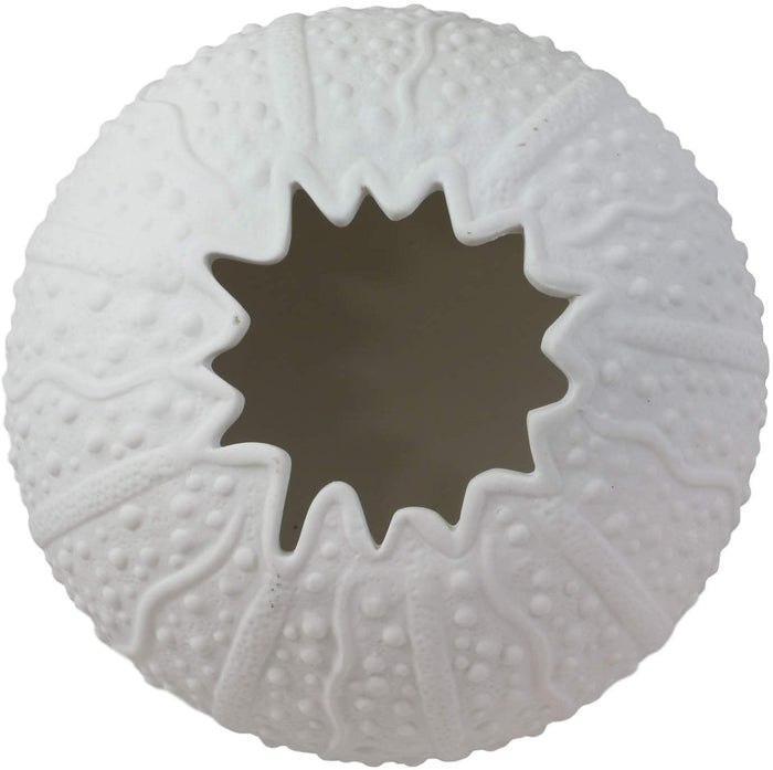 Ebros 7.5" Diameter White Sea Urchin Shell Ceramic Sculpture Pot Figurine (1)
