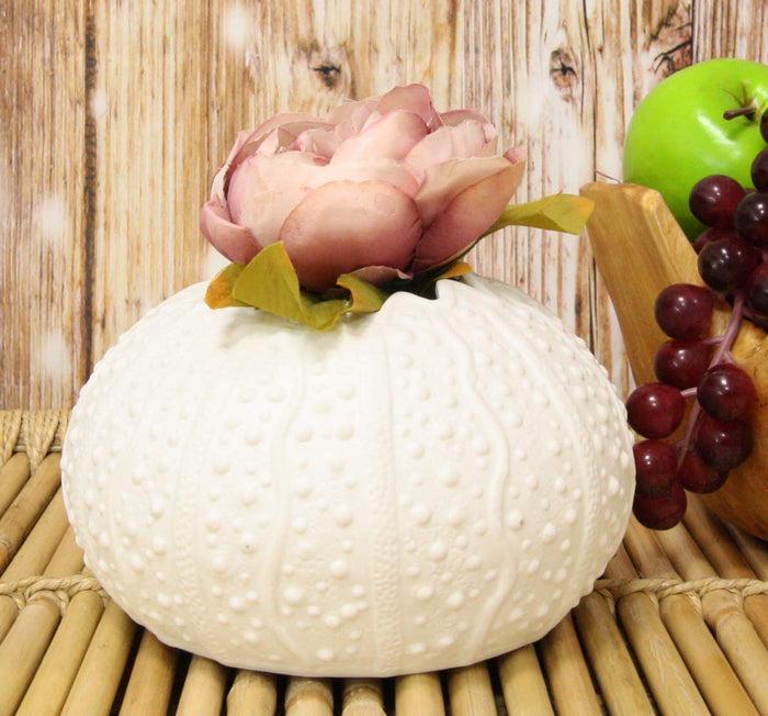 Ebros 7.5" Diameter White Sea Urchin Shell Ceramic Sculpture Pot Figurine (1)