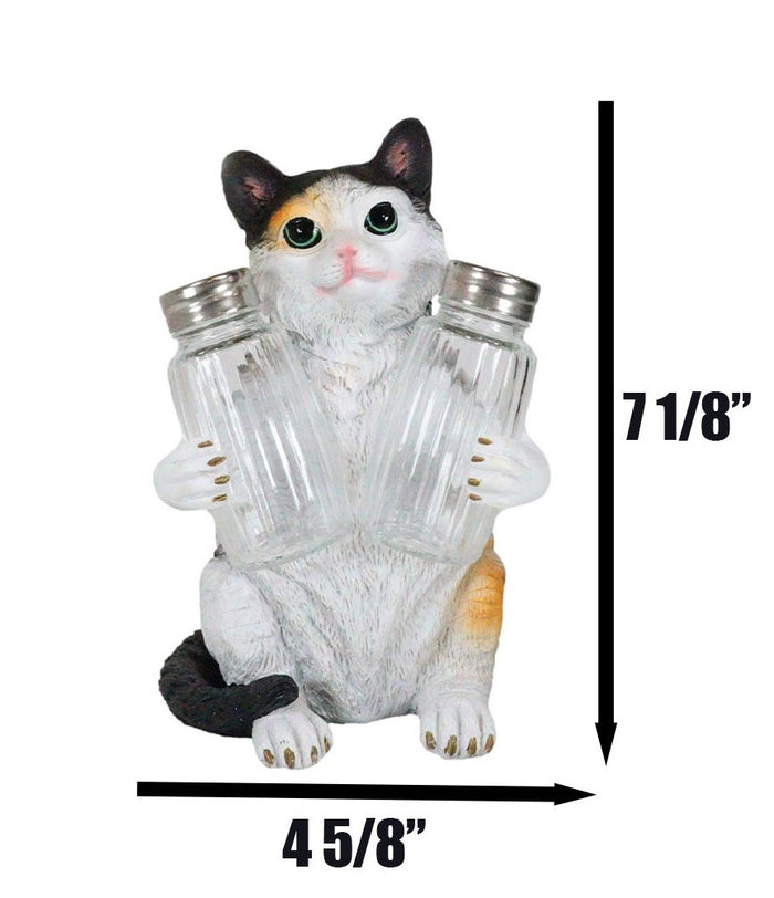 Ebros Adorable Calico Furry Feline Kitty Cat Salt Pepper Shakers Holder Figurine 8.25" H