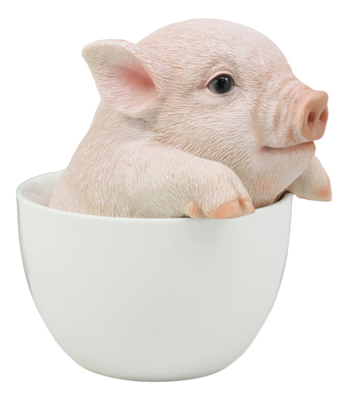 Ebros Adorable Teacup Pig 5.25"H Realistic Animal Collectible Statue With Glass Eyes