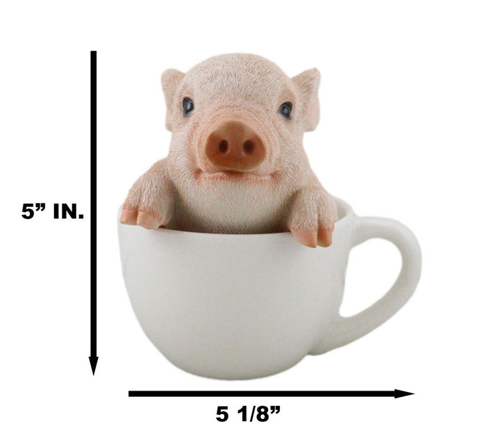 Ebros Adorable Teacup Pig 5.25"H Realistic Animal Collectible Statue With Glass Eyes