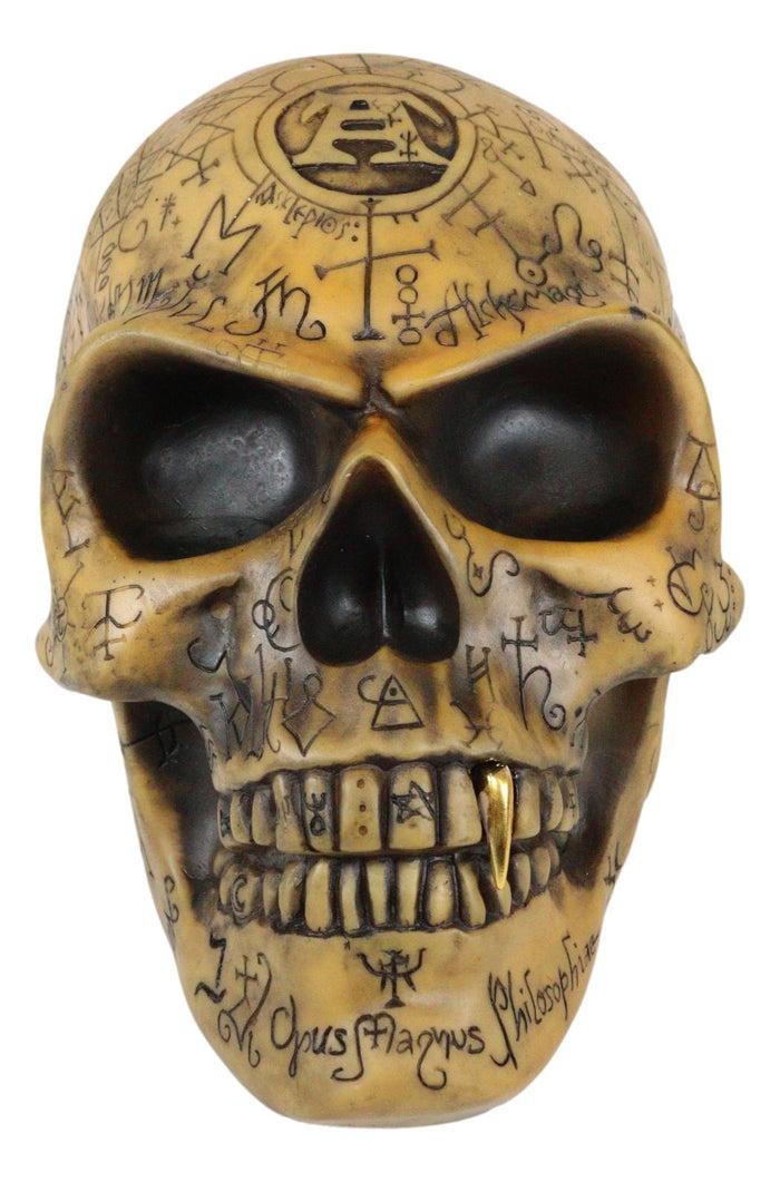 Ebros Alchemy Alpha Omega Ancient Mystical Symbols Skull With Sharp Canine Figurine