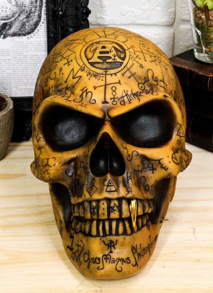 Ebros Alchemy Alpha Omega Ancient Mystical Symbols Skull With Sharp Canine Figurine