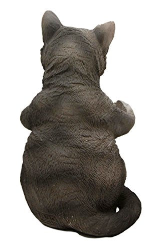 Ebros American Shorthair Grey Kitty Cat Spice Salt Pepper Shakers Holder Figurine