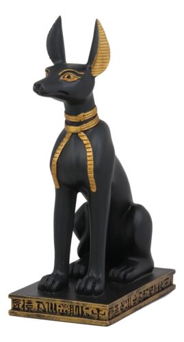 Ebros Ancient Egyptian Sitting Anubis in Jackal Dog Form Statue 9.25" Tall Anpu God of Afterlife Mummification and The Dead Collectible As Historical Cultural Heritage Academic Figurine Ebros Ancient Egyptian Sitting Anubis in Jackal Dog Form Statue 9.25" Tall Anpu God of Afterlife Mummification and The Dead Collectible As Historical Cultural Heritage Academic Figurine