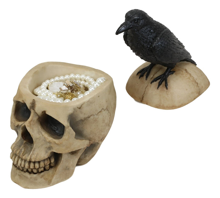 Ebros Black Raven Perched On Ancient Human Skull Trinket Box Container Figurine