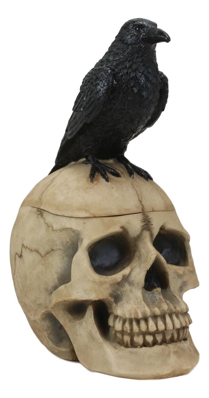Ebros Black Raven Perched On Ancient Human Skull Trinket Box Container Figurine