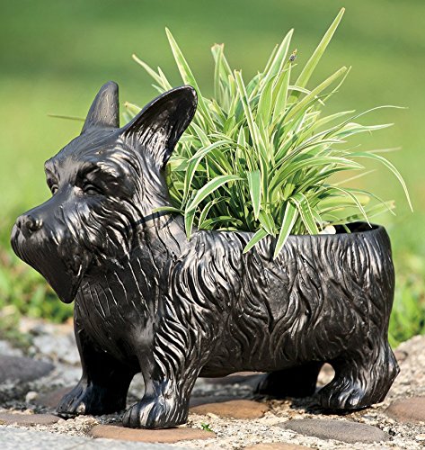 Ebros Black Scottish Terrier Dog Garden Pot Planter Statue 12.5"Long Made of Resin Outdoor Patio Decorative Container Box For Flowers Plants Nursery Ebros Black Scottish Terrier Dog Garden Pot Planter Statue 12.5"Long Made of Resin Outdoor Patio Decorative Container Box For Flowers Plants Nursery