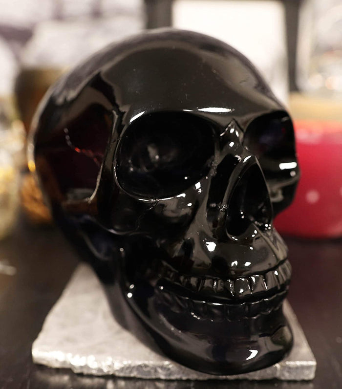 Ebros Black Translucent Jointed Cranium Skull Statue With Removable Jaw Bone