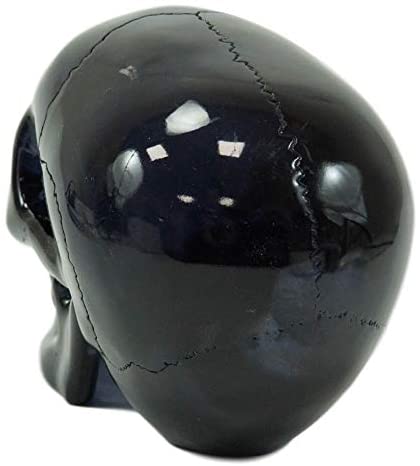 Ebros Black Translucent Jointed Cranium Skull Statue With Removable Jaw Bone