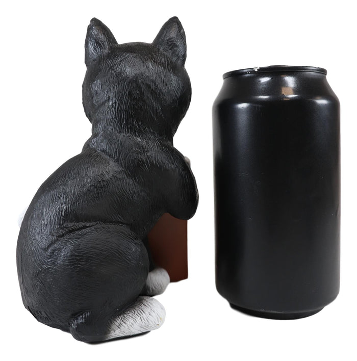 Ebros Black White Cat W/Please Seat Yourself Sign Decorative Toilet Figurine