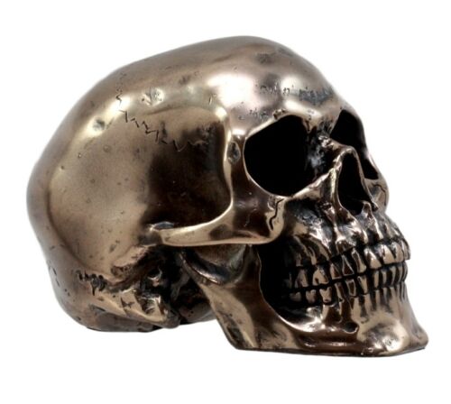 Ebros Bronzed Homosapien Skull Figurine 4.5"L Miniature Halloween Collectible