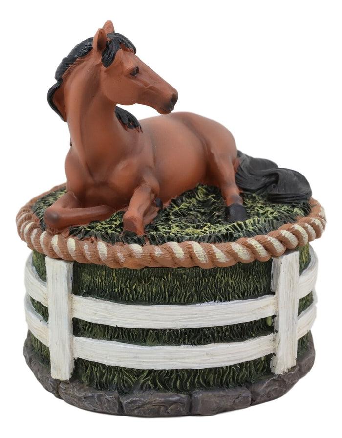 Ebros Brown Stallion Horse At Rest Round Jewelry Trinket Decorative Box 5.25"H