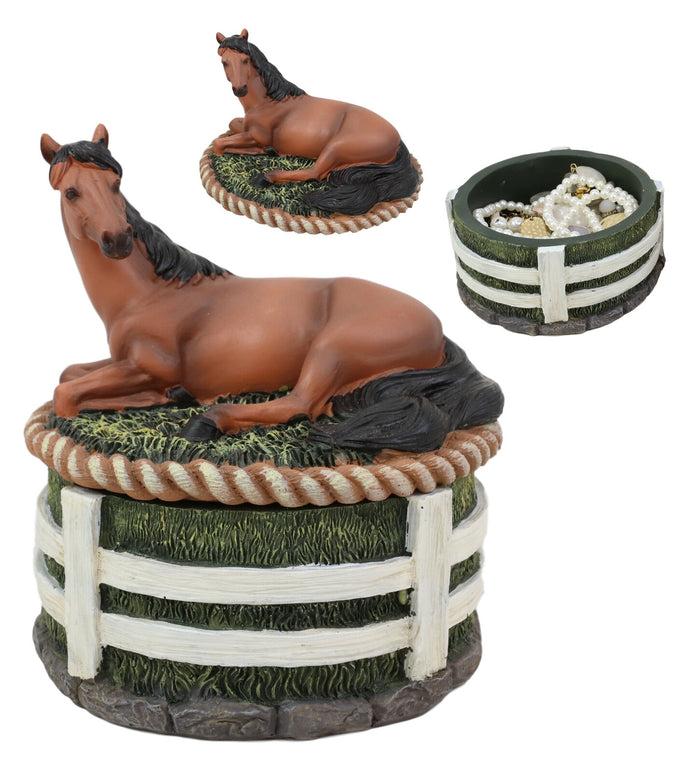 Ebros Brown Stallion Horse At Rest Round Jewelry Trinket Decorative Box 5.25"H
