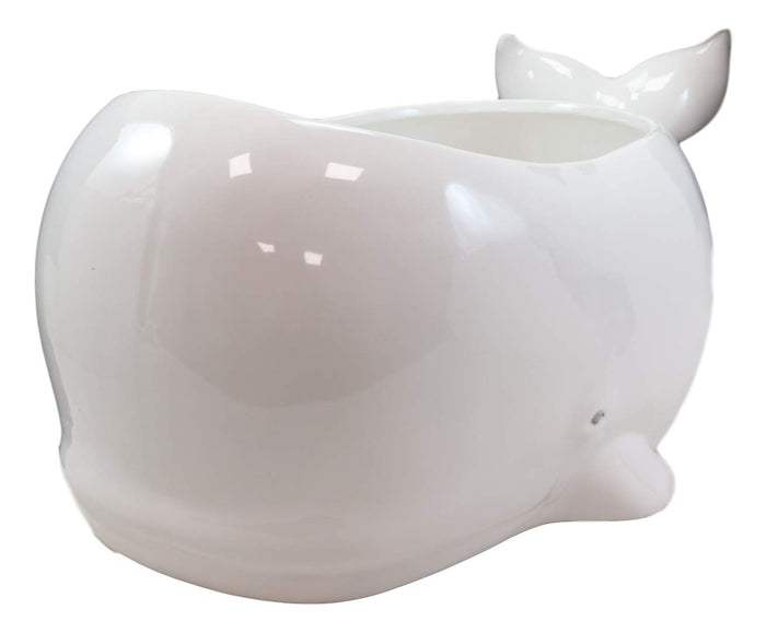 Ebros Ceramic White Nautical Coastal Marine Cachalot Sperm Whale Planter Pot Sculpture For Succulents Or Herbs Or As Sea Life Decorative Organizer Holder Decor Statue (Large 19" Long)