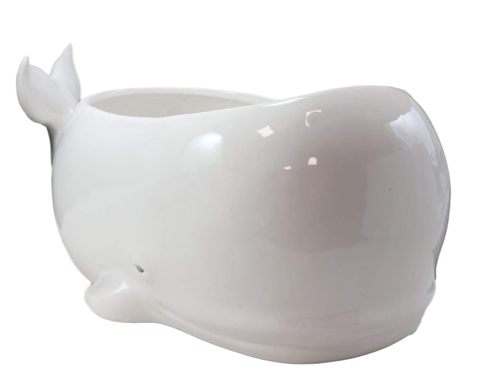 Ebros Ceramic White Nautical Coastal Marine Cachalot Sperm Whale Planter Pot Sculpture For Succulents Or Herbs Or As Sea Life Decorative Organizer Holder Decor Statue (Large 19" Long)