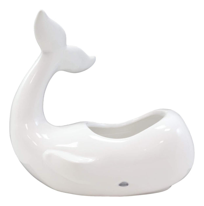 Ebros Ceramic White Nautical Coastal Marine Cachalot Sperm Whale Planter Pot Sculpture For Succulents Or Herbs Or As Sea Life Decorative Organizer Holder Decor Statue (Small 8" Long)