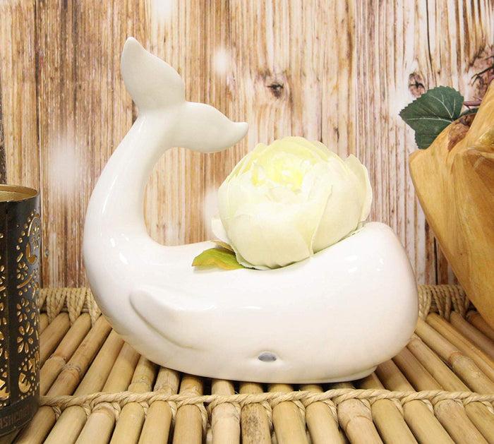 Ebros Ceramic White Nautical Coastal Marine Cachalot Sperm Whale Planter Pot Sculpture for Succulents Or Herbs Or As Sea Life Decorative Organizer Holder Decor Statue (Small 8" Long)