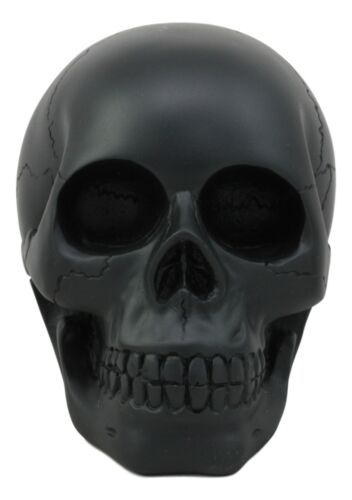 Ebros Charcoal Black Voodoo Skull Statue Cranium Decor Figurine Collectible