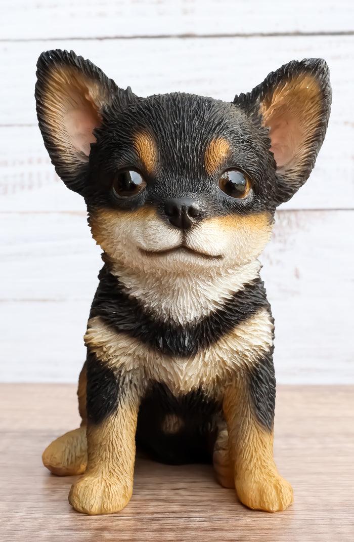 Ebros Chihuahua Dog Puppy Sitting Statue 6.25" High with Glass Eyes Figurine Ebros Chihuahua Dog Puppy Sitting Statue 6.25" High with Glass Eyes Figurine