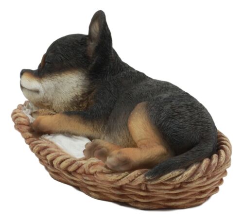 Ebros Chihuahua Dog Sleeping In Wicker Basket Statue 6.5" Long Figurine