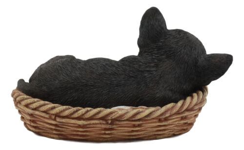 Ebros Chihuahua Dog Sleeping In Wicker Basket Statue 6.5" Long Figurine