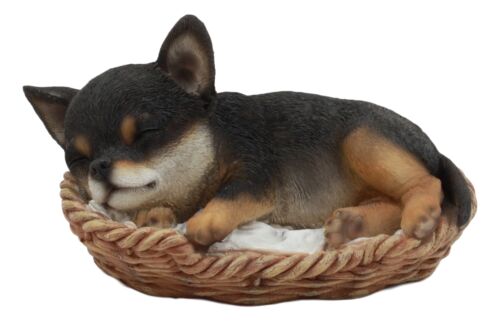 Ebros Chihuahua Dog Sleeping in Wicker Basket Statue 6.5" Long Figurine Ebros Chihuahua Dog Sleeping in Wicker Basket Statue 6.5" Long Figurine
