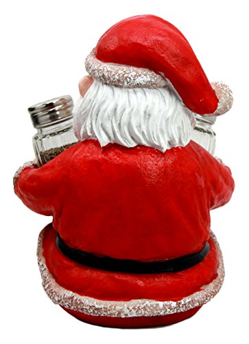 Ebros Christmas Jolly North Pole Santa Claus Glass Salt Pepper Shakers Holder Set