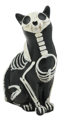 Ebros Day Of The Dead Bone Skeleton Cat Statue Halloween X-Ray Decor Collectible Crazy For Cats Figurine (Male Cat)