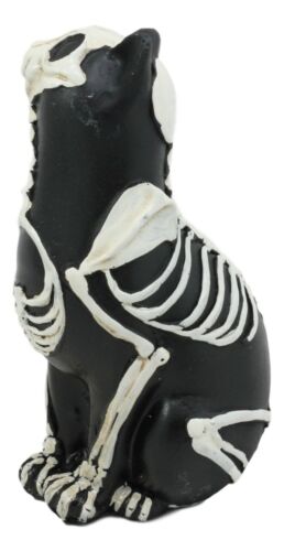 Ebros Day Of The Dead Bone Skeleton Cat Statue Halloween X-Ray Decor Collectible Crazy For Cats Figurine (Male Cat)