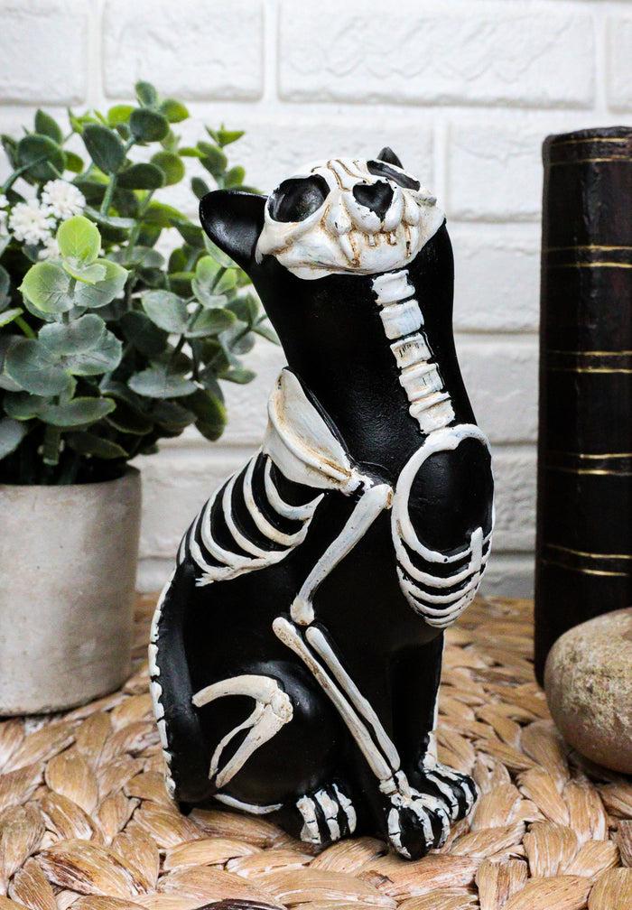 Ebros Day Of The Dead Bone Skeleton Cat Statue Halloween X-Ray Decor Collectible Crazy For Cats Figurine (Male Cat)