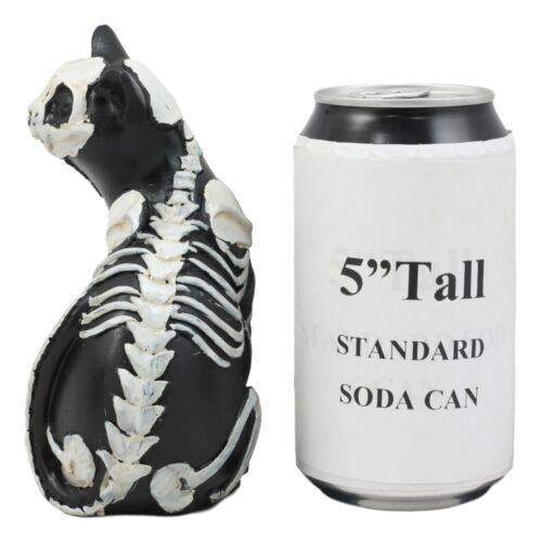 Ebros Day Of The Dead Bone Skeleton Male Cat Statue Halloween 3D X-Ray Decor Figurine