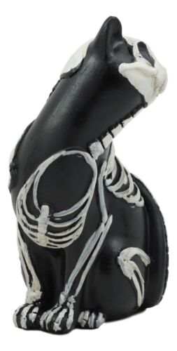 Ebros Day Of The Dead Bone Skeleton Male Cat Statue Halloween 3D X-Ray Decor Figurine