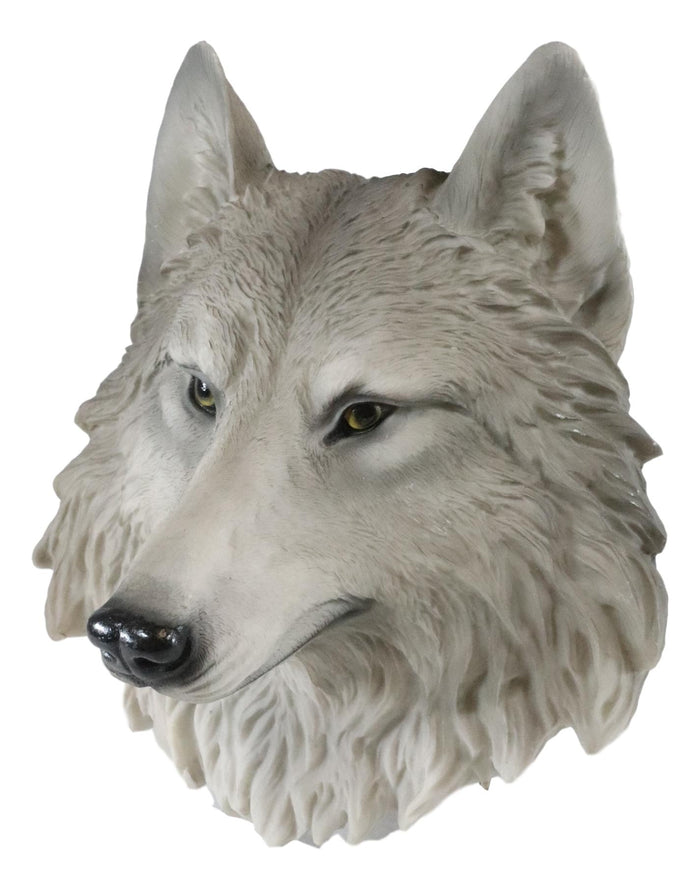 Ebros Direwolf Gray Wolf Mini Wall Decor Timber Wolf Canis Lupus Wall Plaque