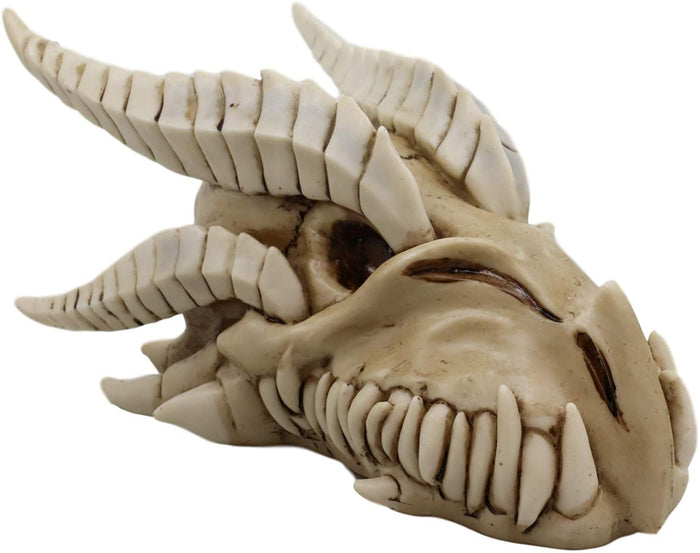 Ebros Dragon Head Skull Realistic Fossil Wall Sculpture Or Desktop Statue 8.25"L